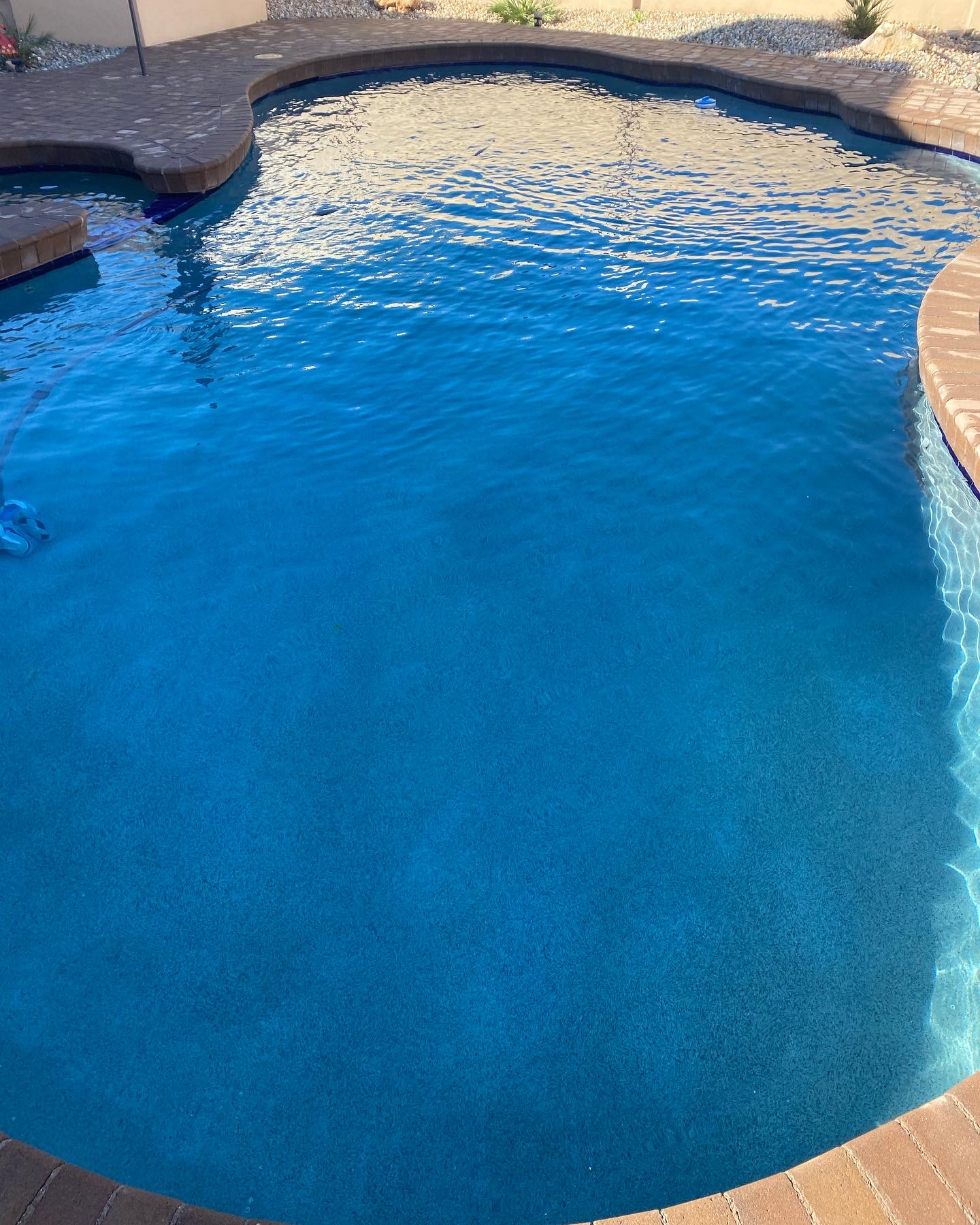 Pool Service in Scottsdale, AZ